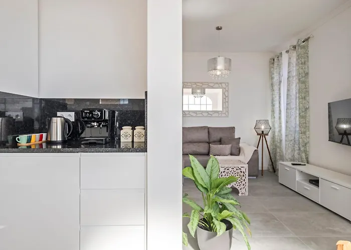 Betty's By Alma 別荘 フンシャル